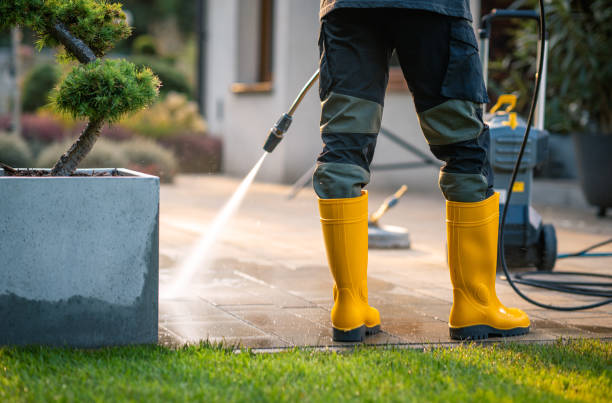 Best Local Pressure Washing Services  in Mount Ephraim, NJ